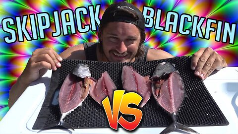 Which Tuna Tastes Better? Skipjack Vs. Blackfin Catch and Cook