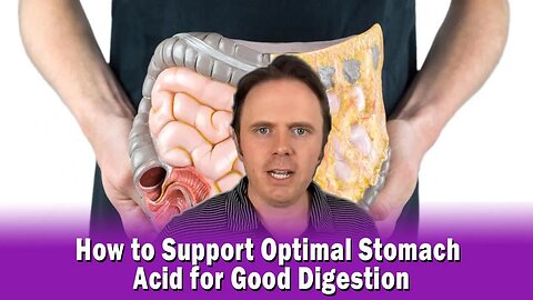 How to Support Optimal Stomach Acid for Good Digestion