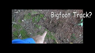 Bigfooter Gary Ep. 10 - Possible Tracks & 2 Knocks