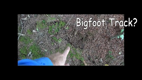 Bigfooter Gary Ep. 10 - Possible Tracks & 2 Knocks