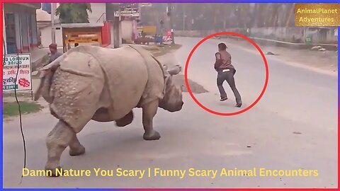 Damn Nature You Scary | Funny Scary Animal Encounters