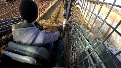 Skid Loader Work and Cleaning Water Troughs