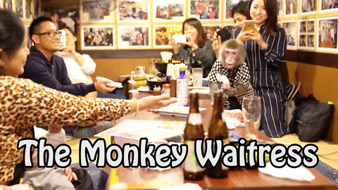 The Monkey Business In This Japanese Bar Will Make You Go Bananas