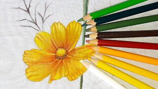 Aprenda a pintar com lápis de cor aquarela no tecido