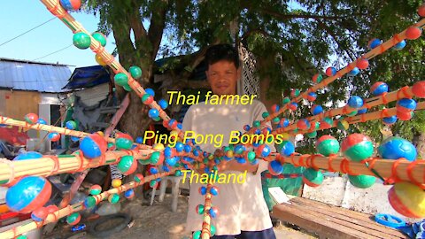 Thai farmer using Ping Pong Bombs to scare away birds in Thailand