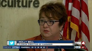 Florida ag commissioner creates cannabis director position