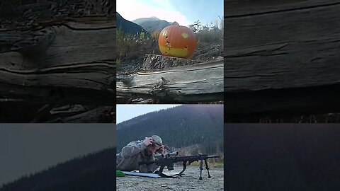 Attempting to Carve a Pumpkin With Trash Ammo @ 200m