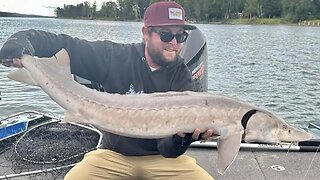 Sturgeon Fishing In Michigan / St. Marys River Sturgeon Fishing / Fishing In The Upper Peninsula