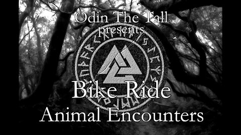 Bike Ride - Animal Encounters