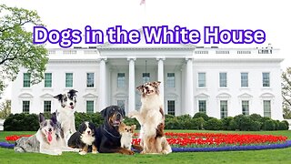 Sit!!! Watch a quick history of Presidential Dogs