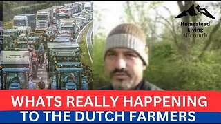 Whats Really Happening to The Dutch Farmers