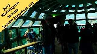 Washington: Seattle Aquarium Puget Sound Shoreline area 2017