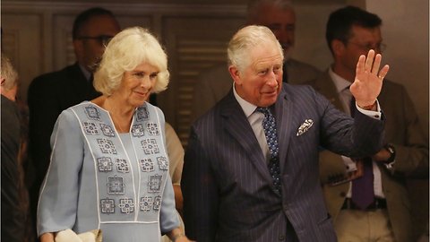 Queen Elizabeth Did Not Ask Prince Charles To Divorce Camilla
