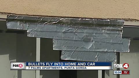 Couple reacts to bullet hole in front window