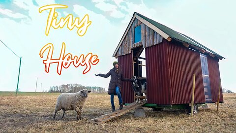 Tiny House for Animals (MOVING IN) FINAL PART