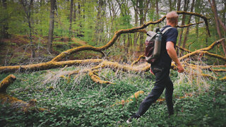 Hiking Alone in North Germany - 12km in Billetal and Sachsenwald near Hamburg (silent hiking video)