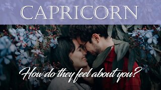 Capricorn💖 A love wants to make the effort, but will they? They want to know, WILL YOU FORGIVE THEM?