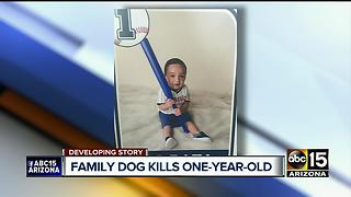 Dog attacks baby boy, drags him outside before killing him