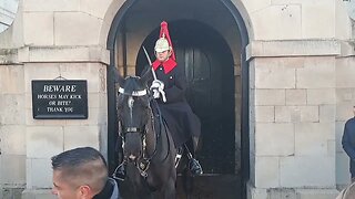 Using The horse make a tourist move #horseguardsparade