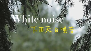 Sleep, Study or Focus with Rain Sounds in The Woods White Noise | 2.5 Hours