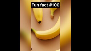 Did you know this about bananas?