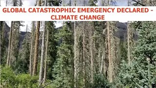 Global Catastrophic Emergency Declared Over Climate Change & Extreme Weather, Latest