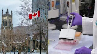 Ce que tu dois savoir sur le vaccin Pfizer contre la COVID-19 et sa distribution au Canada