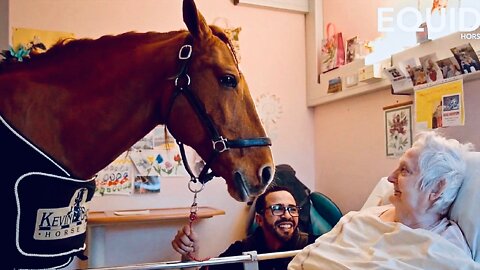 Horse Therapy ~ Peyo The Love Stallion Visits Sick People