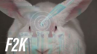 Animal testing may become a thing of the past...