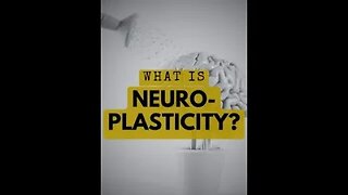 What is Neuroplasticity