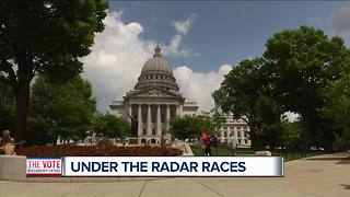 Under the radar races this election