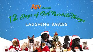 AFV's 12 Days of Christmas Laughing Babies