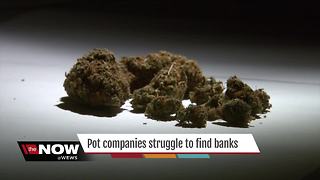 Local medical marijuana companies struggling to find banks