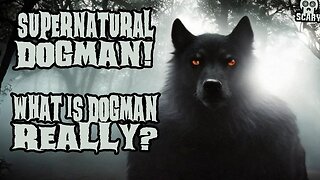 Spooky Supernatural Dogman Stories Told in the Rain Audiobook