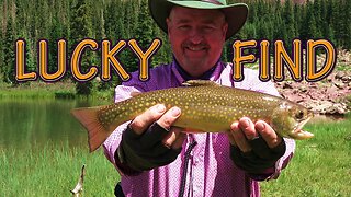 "Lucky Dog" Backpacking Fishing Adventure - Catch and Cook