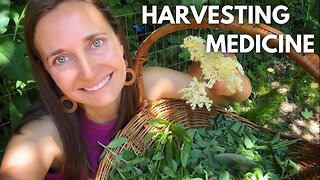 Medicinal Garden Harvest & Tour