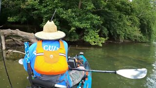 Fishing the upper South Fork Shenandoah River for Smallmouth Bass