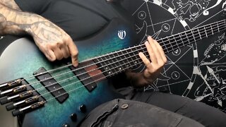 For the ones "Why don't you use the 5th string?!"