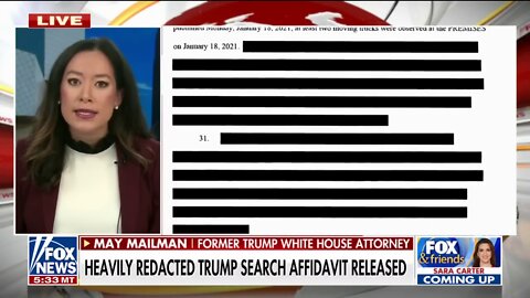 Trump raid was a 'bureaucrat's vendetta': Former Trump attorney May Mailman