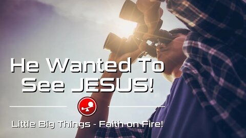 He Wanted to See JESUS! - Daily Devotional - Little Big Things