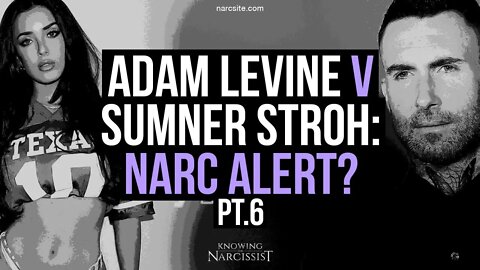 Adam Levine v Sumner Stroh : Narc Alert? Part 6