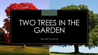 Two Trees In The Garden