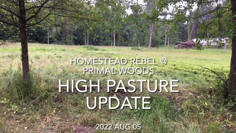 2022 Aug 05 High Pasture Update