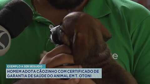 Exemplo: Homem Adota Cãozinho com Certificado de Garantia de Saúde do Animal em T. Otoni.