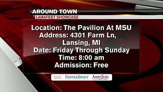 Around Town - Llamafest