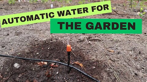 Automatic Water System for the Garden | Building our homestead from scratch