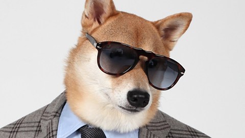 Menswear Dog, The Chic Shiba: Pet Pooch Models Designer Fashion