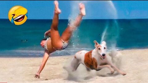 Funny Animals Video - Best Cats😹 and Dogs🐶 Videos of the Month 2022! #1,