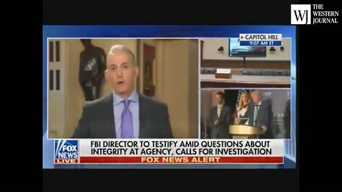 Trey Gowdy Gets Asked if Trump Jr. Did Anything Illegal, His Answer Couldn't Be More Clear