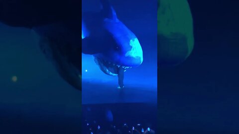 Drake gets Eaten by a Shark at his Concert #Drake